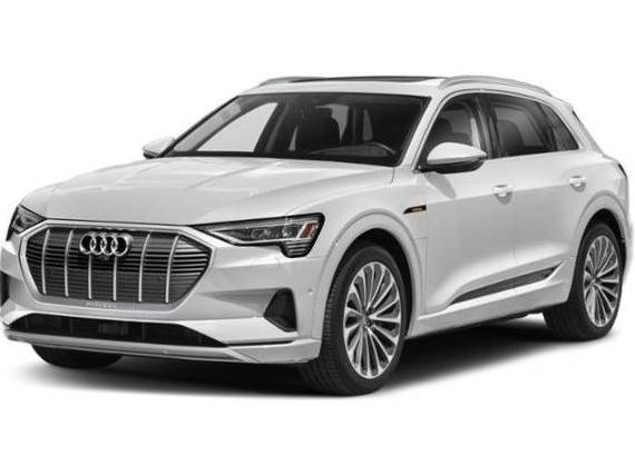 AUDI E-TRON 2022 WA1LAAGEXNB040609 image