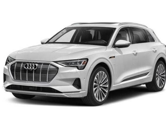 AUDI E-TRON 2022 WA1LAAGE3NB014255 image
