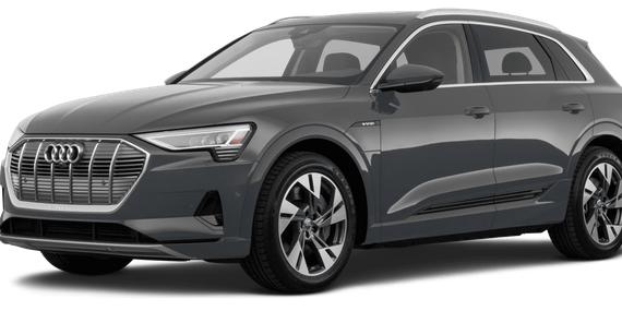 AUDI E-TRON 2022 WA1LAAGE0NB008042 image