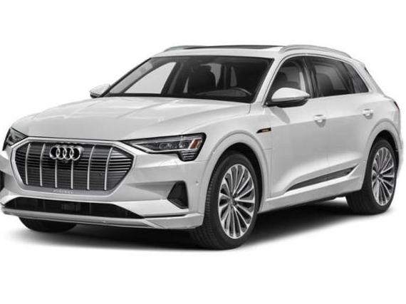 AUDI E-TRON 2022 WA1AAAGE0NB010834 image