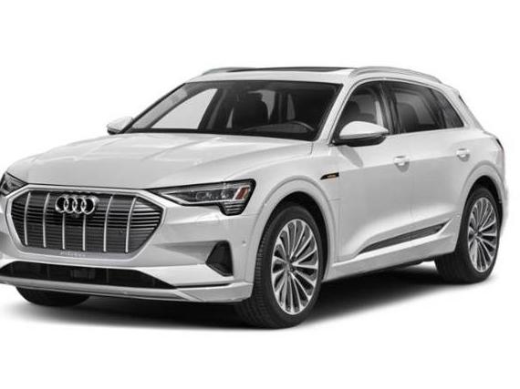 AUDI E-TRON 2022 WA1AAAGE7NB026044 image