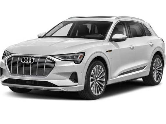 AUDI E-TRON 2022 WA1AABGEXNB030191 image