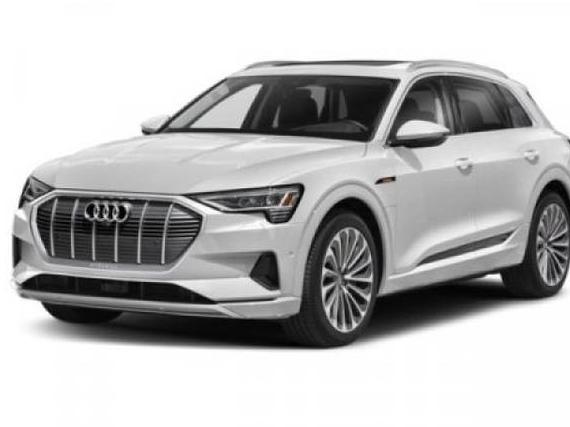 AUDI E-TRON 2022 WA1LAAGE9NB031478 image
