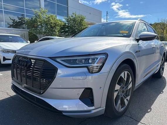AUDI E-TRON 2022 WA1AAAGE1NB046239 image