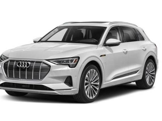 AUDI E-TRON 2022 WA1LAAGE5NB013513 image