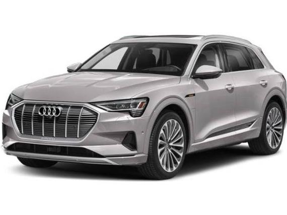 AUDI E-TRON 2022 WA1AAAGEXNB007505 image