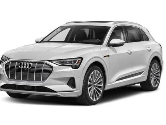 AUDI E-TRON 2022 WA1AAAGE0NB005603 image