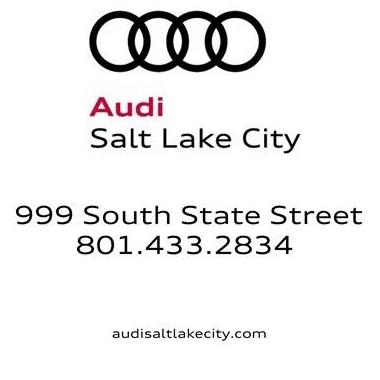 AUDI Q3 2025 WA1EECF31S1028987 image