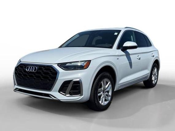 AUDI Q5 2023 WA1GAAFY8P2134553 image