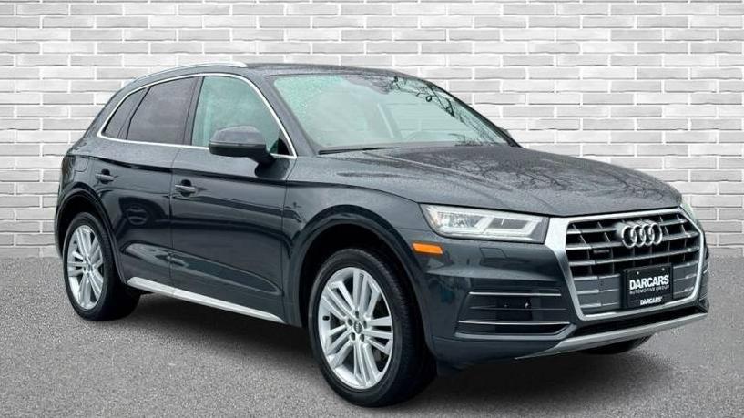 AUDI Q5 2019 WA1BNAFY0K2117219 image