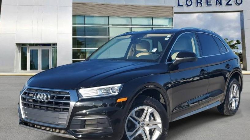 AUDI Q5 2019 WA1ANAFY6K2100629 image