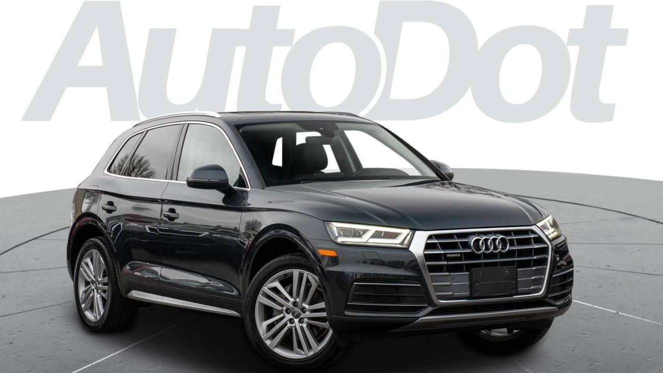 AUDI Q5 2019 WA1BNAFY9K2134262 image