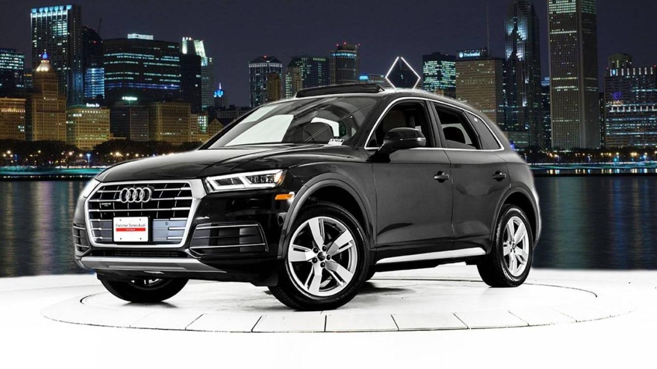 AUDI Q5 2019 WA1BNAFY1K2116015 image