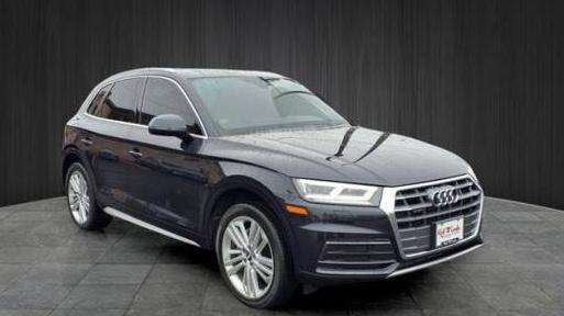 AUDI Q5 2019 WA1BNAFY5K2069653 image