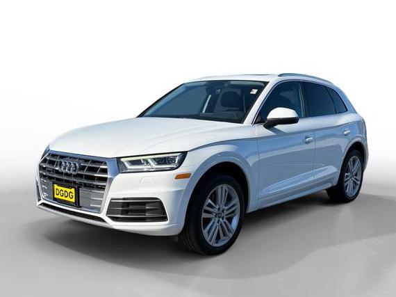 AUDI Q5 2019 WA1BNAFY2K2022385 image