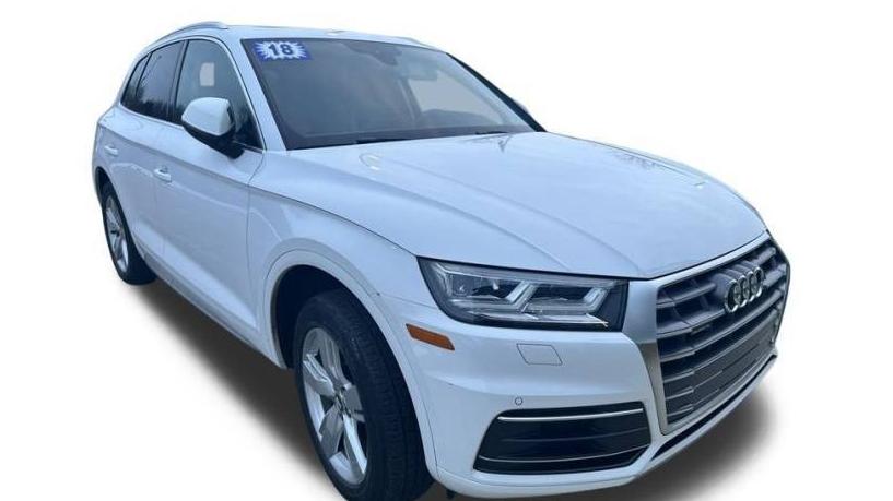 AUDI Q5 2018 WA1BNAFY9J2137306 image