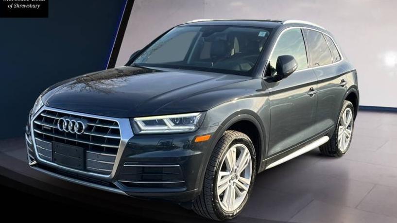 AUDI Q5 2018 WA1BNAFY1J2227016 image