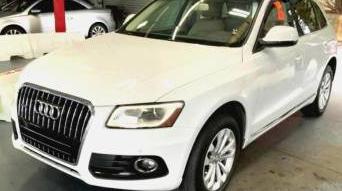 AUDI Q5 2013 WA1LFAFP0DA032561 image