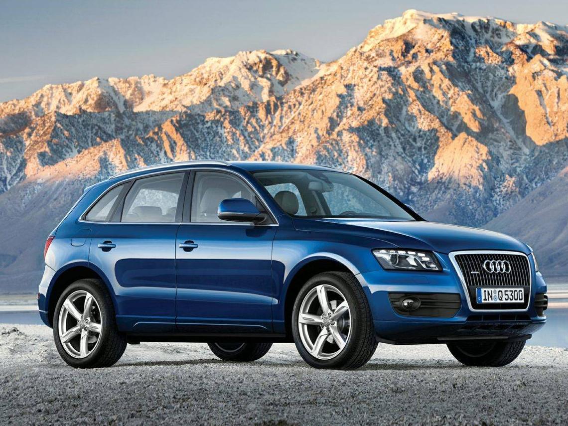 AUDI Q5 2010 WA1LKAFP6AA006991 image