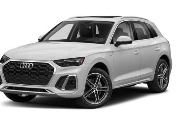 AUDI Q5 2022 WA1E2AFY6N2083300 image