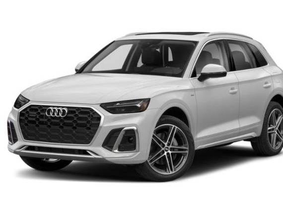 AUDI Q5 2022 WA1E2AFY2N2065103 image