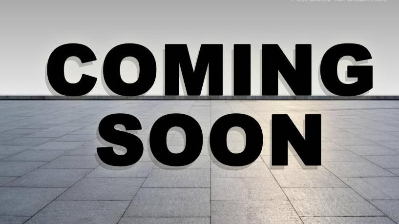 HONDA PASSPORT 2019 5FNYF7H5XKB008248 image