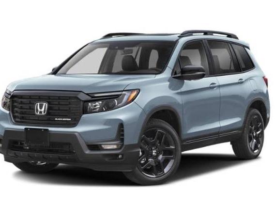 HONDA PASSPORT 2024 5FNYF8H89RB017243 image