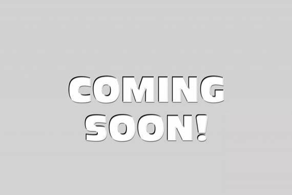 HONDA PASSPORT 2024 5FNYF8H61RB016022 image