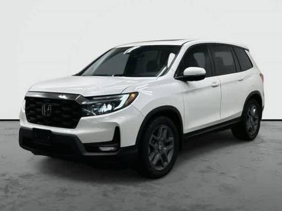 HONDA PASSPORT 2022 5FNYF7H59NB005569 image