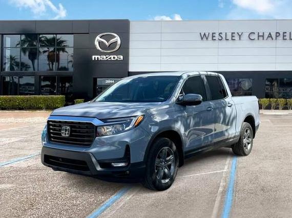 HONDA RIDGELINE 2023 5FPYK3F58PB004303 image