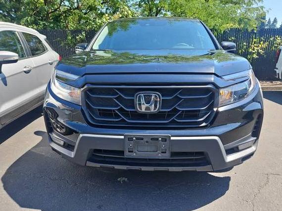 HONDA RIDGELINE 2021 5FPYK3F12MB002930 image