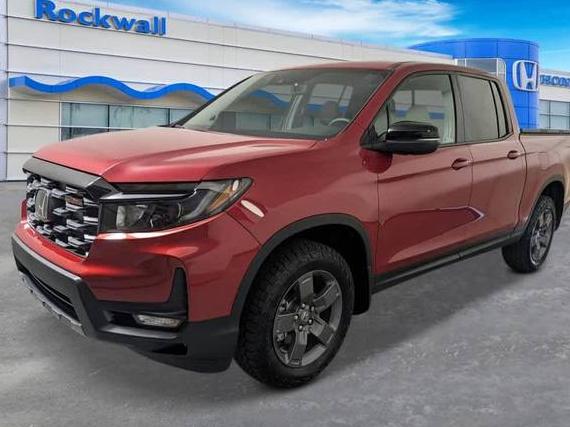 HONDA RIDGELINE 2024 5FPYK3F65RB028053 image