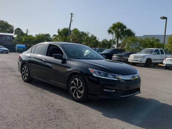 HONDA ACCORD 2016 1HGCR3F85GA029033 image