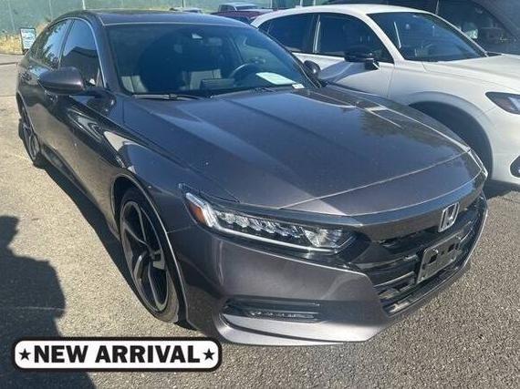 HONDA ACCORD 2019 1HGCV1F3XKA135135 image