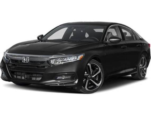 HONDA ACCORD 2019 1HGCV1F33KA105118 image