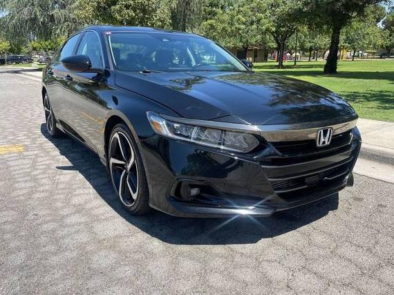 HONDA ACCORD 2021 1HGCV1F48MA001316 image