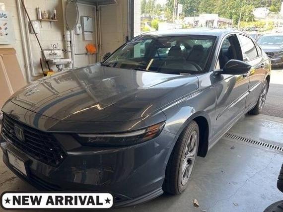 HONDA ACCORD 2024 1HGCY1F30RA041590 image