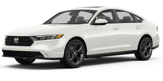 HONDA ACCORD 2024 1HGCY2F66RA074495 image