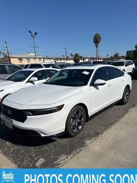 HONDA ACCORD 2024 1HGCY2F6XRA031598 image