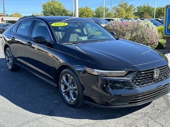 HONDA ACCORD 2024 1HGCY1F36RA059236 image