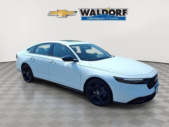 HONDA ACCORD 2024 1HGCY2F73RA004896 image