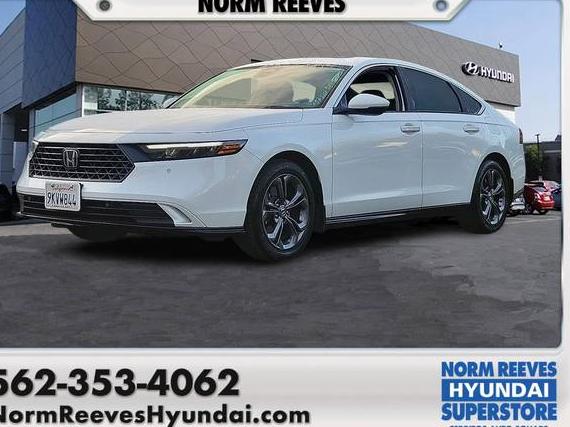HONDA ACCORD 2024 1HGCY2F64RA030429 image