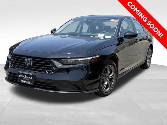 HONDA ACCORD 2024 1HGCY1F33RA043642 image