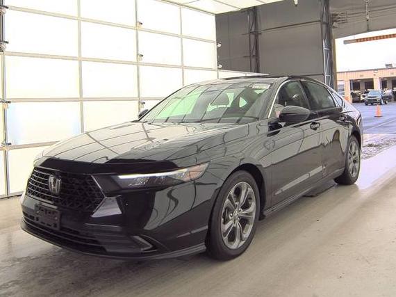 HONDA ACCORD 2024 1HGCY1F37RA054160 image