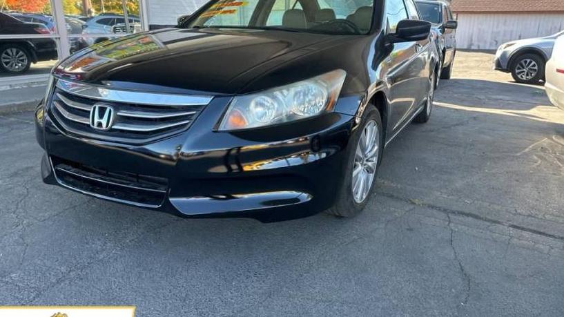 HONDA ACCORD 2011 5KBCP3F84BB002444 image