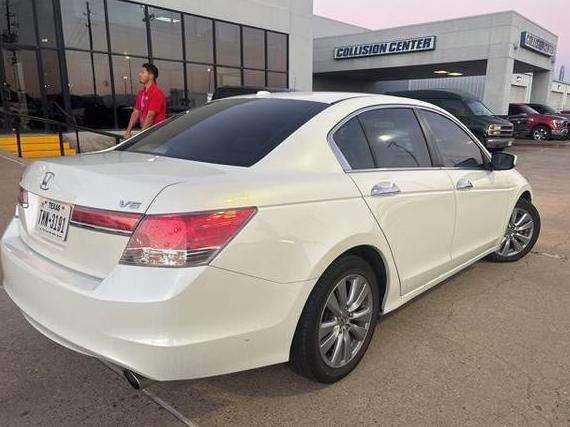HONDA ACCORD 2011 5KBCP3F84BB004341 image