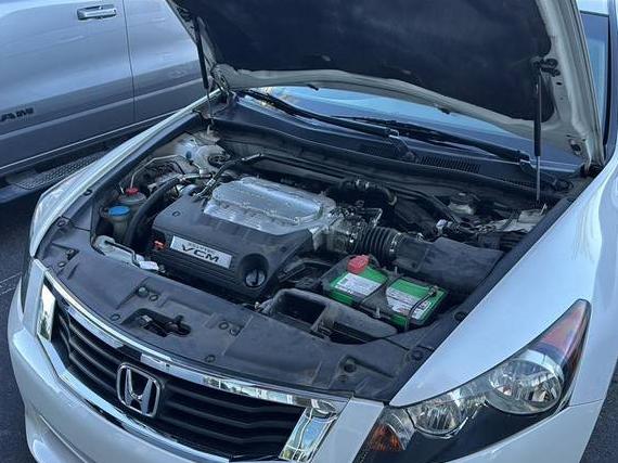 HONDA ACCORD 2010 1HGCP3F80AA029020 image