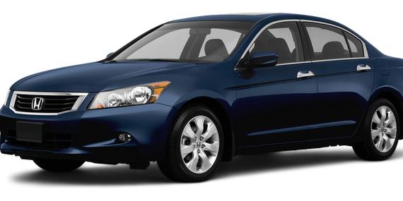 HONDA ACCORD 2010 5KBCP3F85AB013631 image