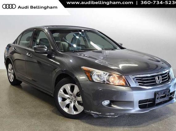 HONDA ACCORD 2010 5KBCP3F85AB009840 image