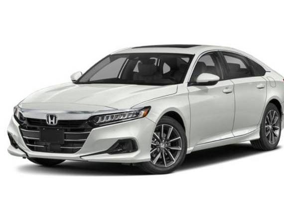 HONDA ACCORD 2022 1HGCV1F52NA013343 image
